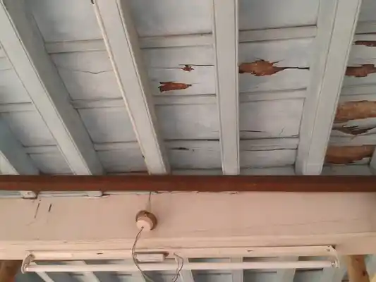 Arulmigu Adhala Nayakiamman Temple, Thalakkaur - 630206 Arulmigu Adhala Nayakiamman Temple, Thalakkaur - 630206, Sivagangai - Ancient Temple Architecture and History Image 4