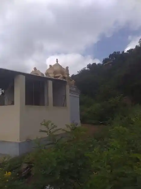 Arulmigu Adhampatti Pidari Temple, Aalampatti - 621306 அருள்மிகு ஆதம்பட்டி பிடாரி திருக்கோயில், Aalampatti - 621306, Thiruchirappalli - Ancient Temple Architecture and History Image 4