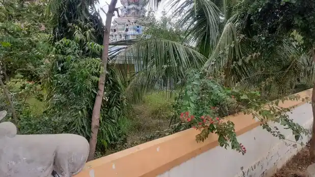 Arulmigu Adheeswarar Temple, Anaipadi - 621106 அருள்மிகு ஆதீஸ்வரர் திருக்கோயில், Anaipadi, Anaipadi - 621106, Perambalur - Ancient Temple Architecture and History Image 2