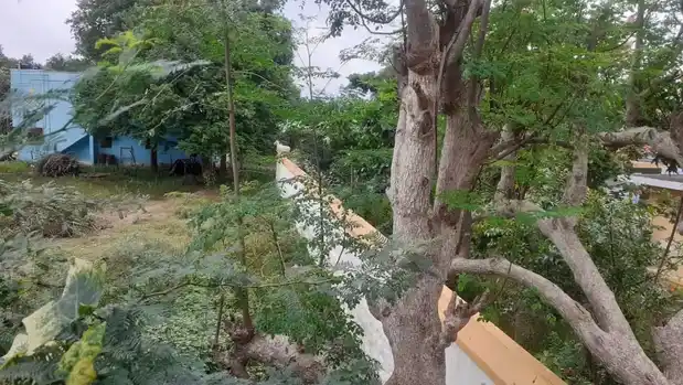 Arulmigu Adheeswarar Temple, Anaipadi - 621106 அருள்மிகு ஆதீஸ்வரர் திருக்கோயில், Anaipadi, Anaipadi - 621106, Perambalur - Ancient Temple Architecture and History Image 4