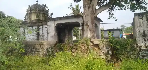Arulmigu Adhikesava Perumal Temple And Ponniyamman Temple, Panruti - 631604 அருள்மிகு ஆதிகேசவப் பெருமாள் மற்றும் பொன்னியம்மன் திருக்கோயில், பண்ருட்டி - 631604, Kancheepuram - Ancient Temple Architecture and History Image 2