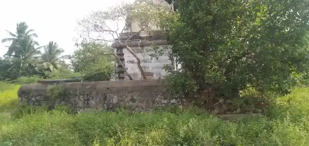 Arulmigu Adhikesava Perumal Temple And Ponniyamman Temple, Panruti - 631604 அருள்மிகு ஆதிகேசவப் பெருமாள் மற்றும் பொன்னியம்மன் திருக்கோயில், பண்ருட்டி - 631604, Kancheepuram - Ancient Temple Architecture and History Image 3