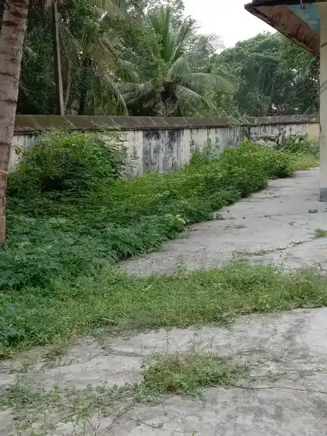 Arulmigu Adhikeseva Perumal Temple, Mathirimangalam - 609801 அருள்மிகு ஆதிகேசவபெருமாள் திருக்கோயில், மாதிரிமங்கலம் - 609801, Mayiladuthurai - Ancient Temple Architecture and History Image 4