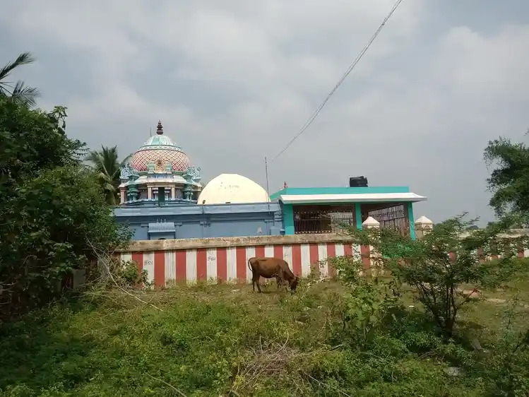 Arulmigu Adhilingeswarar Temple, Pannainaloor - 609403 அருள்மிகு ஆதிலிங்கேஸ்வரர் திருக்கோயில், Pannainaloor - 609403, Thiruvarur - Ancient Temple Architecture and History Image 5