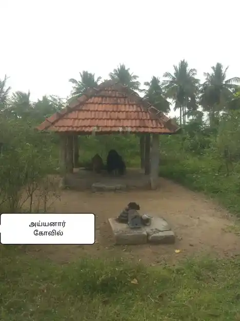 Arulmigu Adhinamilagiya Ayyanar Temple, Keeranipatti - 621305