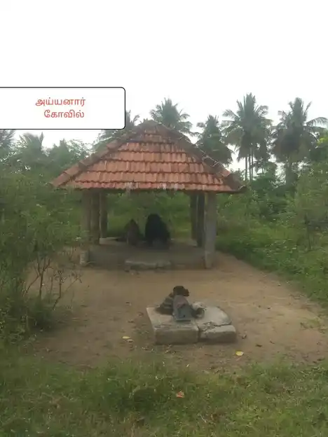 Arulmigu Adhinamilagiya Ayyanar Temple, Keeranipatti - 621305 Arulmigu Adhinamilagiya ayyanar Temple, Keeranipatti - 621305, Thiruchirappalli - Ancient Temple Architecture and History Image 4