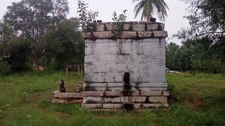 Arulmigu Adhinarayanaswamy Temple, Sappanipatty, Vanavasi - 636457 அருள்மிகு ஆதி நாராயண சுவாமி திருக்கோயில், Sappanipatty, Vanavasi - 636457, Salem - Ancient Temple Architecture and History Image 2