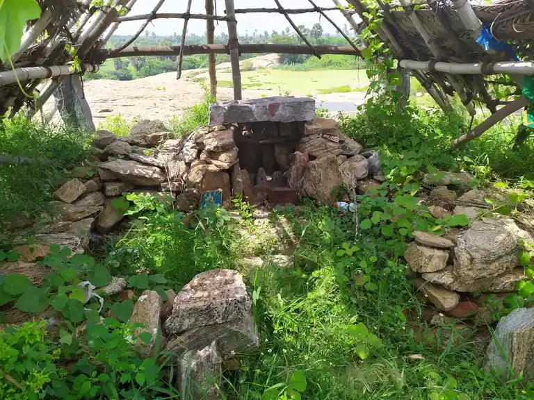 Arulmigu Adi Kesava Perumal, Animoor - 637214