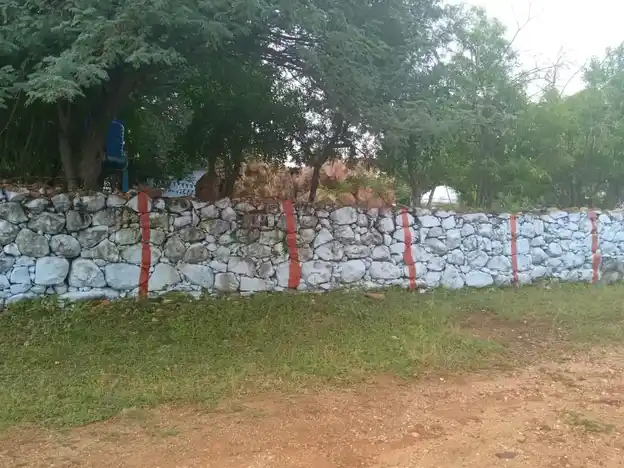 Arulmigu Adiperumal Temple, Thattanur - 641655 அருள்மிகு அடிபெருமாள் திருக்கோயில், Thattanur - 641655, Tiruppur - Ancient Temple Architecture and History Image 6