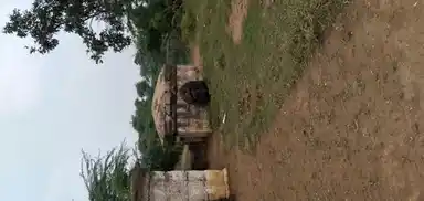 Arulmigu Adiyarku eliyavar Temple, Mullur, Pudukkottai Taluk - 622004 அருள்மிகு அடியார்க்கு எளியவர் திருக்கோயில், முள்ளூர், புதுக்கோட்டை வட்டம் - 622004, Pudukkottai - Ancient Temple Architecture and History Image 5