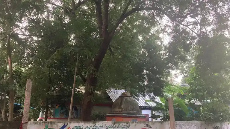 Arulmigu Adukuttiswamy Madam, Kumbakonam - 612001 Arulmigu Adukuttiswamy Madam, Kumbakonam - 612001, Thanjavur - Ancient Temple Architecture and History Image 3