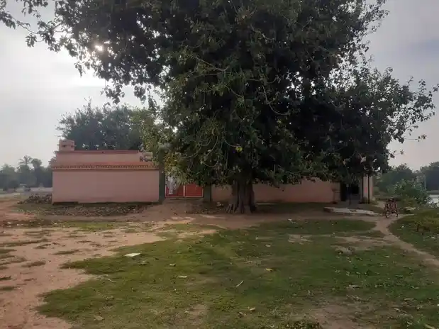 Arulmigu Agaisthiswarar Temple, Pariyakottai, Pariyakottai - 614903