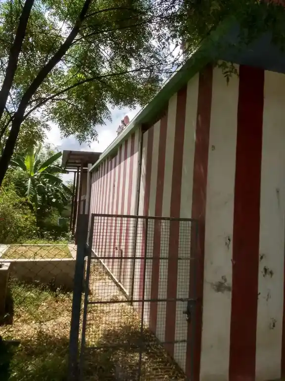 Arulmigu Agalaparameshwari Temple, Salipperi - 610105 Arulmigu Agalaparameshwari Temple, Salipperi - 610105, Thiruvarur - Ancient Temple Architecture and History Image 4