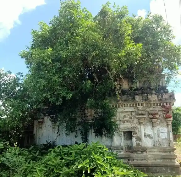 Arulmigu Agampareswarar Temple, Vellappallam - 611112 அருள்மிகு ஏகாம்பரேஸ்வரர் திருக்கோயில், Vellappallam - 611112, Nagapattinam - Ancient Temple Architecture and History Image 4