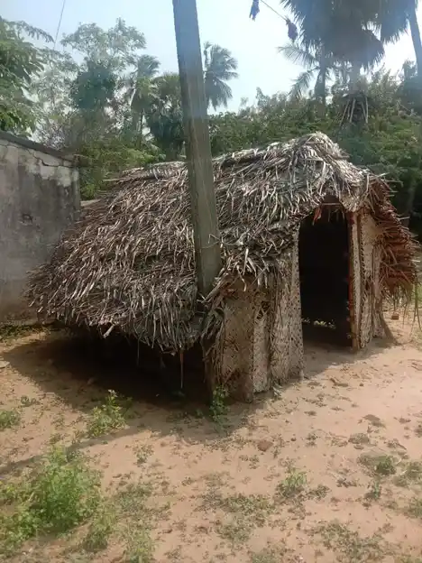 Arulmigu Agasa Kaliyammantemple, Kelakadu - 612801 Arulmigu Agasa KaliyammanTemple, Kelakadu - 612801, Thiruvarur - Ancient Temple Architecture and History Image 2