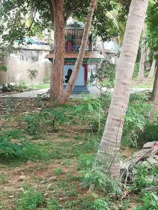 Arulmigu Agasapuriswarar Temple, Kaduveli, Kaduveli - 613203 அருள்மிகு ஆகாஸபுரீஸ்வரர் திருக்கோயில், Kaduveli, Kaduveli - 613203, Thanjavur - Ancient Temple Architecture and History Image 9