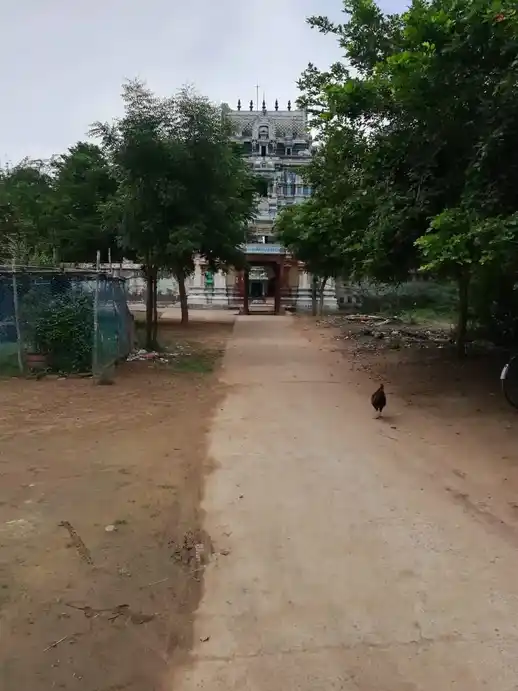 Arulmigu Agasapuriswarar Temple, Kaduveli, Kaduveli - 613203 அருள்மிகு ஆகாஸபுரீஸ்வரர் திருக்கோயில், Kaduveli, Kaduveli - 613203, Thanjavur - Ancient Temple Architecture and History Image 11