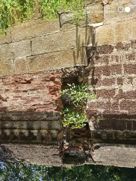 Arulmigu Agasdeeswarar Temple, Ettiyatthali - 614801 அருள்மிகு அகஸ்தீஸ்வரர் திருக்கோயில், Ettiyatthali - 614801, Pudukkottai - Ancient Temple Architecture and History Image 4