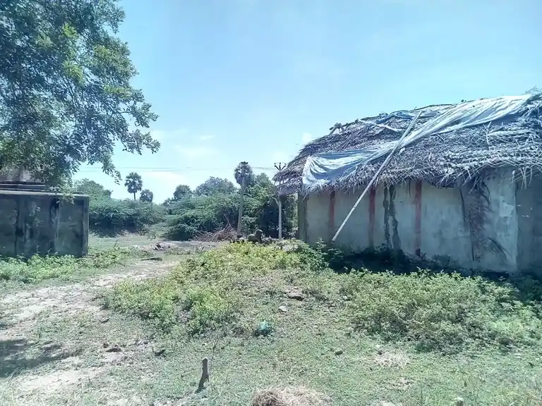 Arulmigu Agasdeeswarar Temple, Keeranur - 614620 Arulmigu Agasdeeswarar Temple, Keeranur - 614620, Pudukkottai - Ancient Temple Architecture and History Image 2