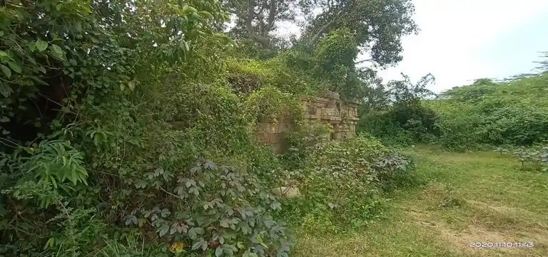 Arulmigu Agasdeeswarar Temple, Monasanthai - 622506 அருள்மிகு அகஸ்தீஸ்வரர் திருக்கோயில், Monasanthai - 622506, Pudukkottai - Ancient Temple Architecture and History Image 3