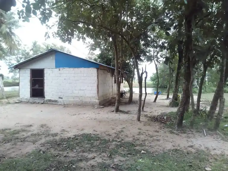 Arulmigu Agasdeeswarar Temple, Sirumaruthur - 614618 அருள்மிகு அகஸ்தீஸ்வரர் திருக்கோயில், Sirumaruthur - 614618, Pudukkottai - Ancient Temple Architecture and History Image 4