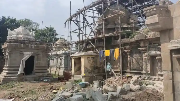 Arulmigu Agastheeswarar And Kariyamanikkaperumal Temple, Palaiyavalam - 610101 அருள்மிகு அகஷ்தீஷ்வரர் கருகமாணிக்கபெருமாள் திருக்கோயில், Palaiyavalam - 610101, Thiruvarur - Ancient Temple Architecture and History Image 6