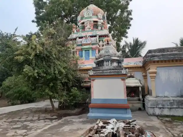 Arulmigu Agastheeswarar Temple, Arasour, Thanjavur - 613202 அருள்மிகு அகஸ்தீஸ்வரர் திருக்கோயில், Arasour, Thanjavur - 613202, Thanjavur - Ancient Temple Architecture and History Image 2