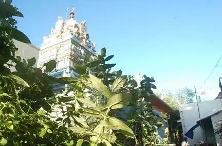 Arulmigu Agastheeswarar Temple, Arupathumoovar Pettai - 609001 அருள்மிகு அகஸ்திய விநாயகர் திருக்கோயில், Mayiladuthurai - 609001, Mayiladuthurai - Ancient Temple Architecture and History Image 7