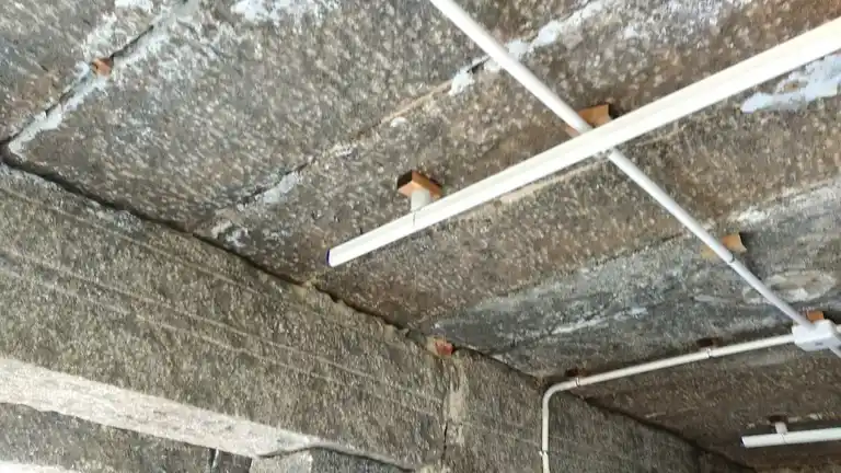 Arulmigu Agastheeswarar Temple, Avalurpettai - 604201 அருள்மிகு அகஸ்தீஸ்வரர் திருக்கோயில், Avalurpettai - 604201, Viluppuram - Ancient Temple Architecture and History Image 6