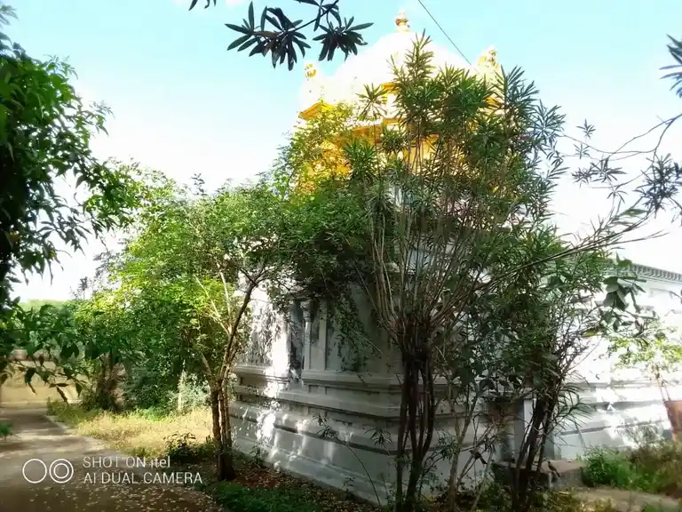 Arulmigu Agastheeswarar Temple, Kodiyalur - 609405 அருள்மிகு அகஸ்தீஸ்வரசாமி திருக்கோயில், கொடியலூர் - 609405, Thiruvarur - Ancient Temple Architecture and History Image 4