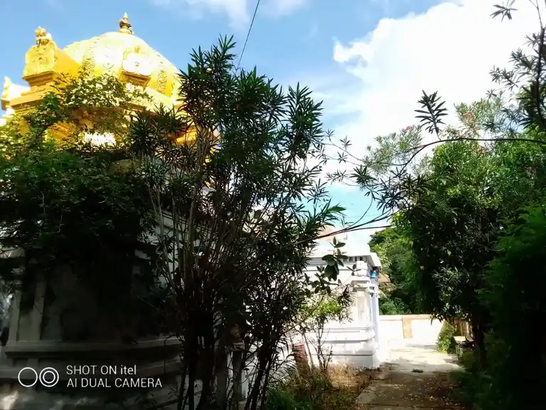 Arulmigu Agastheeswarar Temple, Kodiyalur - 609405 அருள்மிகு அகஸ்தீஸ்வரசாமி திருக்கோயில், கொடியலூர் - 609405, Thiruvarur - Ancient Temple Architecture and History Image 5