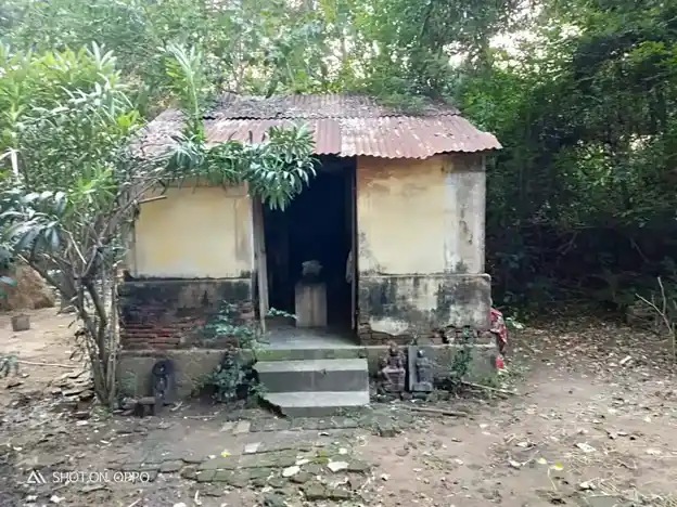 Arulmigu Agastheeswarar Temple, Palayakudalur - 609801 அருள்மிகு அகஸ்தீஸ்வரர் திருக்கோயில், Palaiyagudalur - 609801, Mayiladuthurai - Ancient Temple Architecture and History Image 2