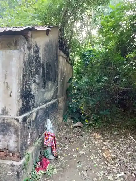 Arulmigu Agastheeswarar Temple, Palayakudalur - 609801 அருள்மிகு அகஸ்தீஸ்வரர் திருக்கோயில், Palaiyagudalur - 609801, Mayiladuthurai - Ancient Temple Architecture and History Image 4