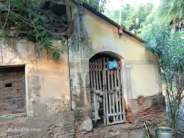 Arulmigu Agastheeswarar Temple, Palayakudalur - 609801 அருள்மிகு அகஸ்தீஸ்வரர் திருக்கோயில், Palaiyagudalur - 609801, Mayiladuthurai - Ancient Temple Architecture and History Image 5