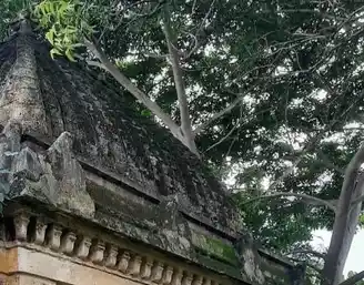 Arulmigu Agastheeswarar Temple, Perungalur - 608704 அருள்மிகு அகஸ்தீஸ்வரர் திருக்கோயில், Perungalur - 608704, Cuddalore - Ancient Temple Architecture and History Image 4