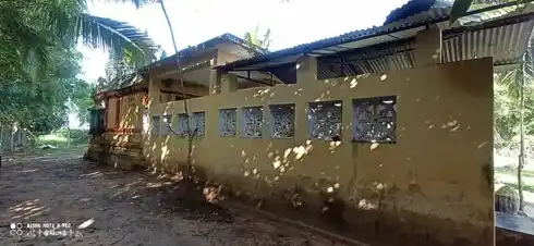 Arulmigu Agastheeswarar Temple, Pinnavasal - 610102 அருள்மிகு அகஸ்தீஸ்வரர் திருக்கோயில், Pinnavasal - 610102, Thiruvarur - Ancient Temple Architecture and History Image 5