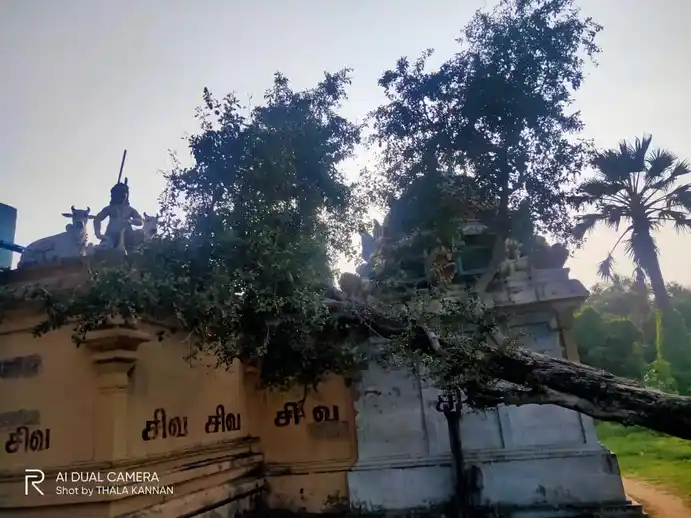 Arulmigu Agastheeswarar Temple, Thiruchinnapuram - 608301 அருள்மிகு அகஸ்தீஸ்வரர் திருக்கோயில், Thiruchinnapuram - 608301, Cuddalore - Ancient Temple Architecture and History Image 3