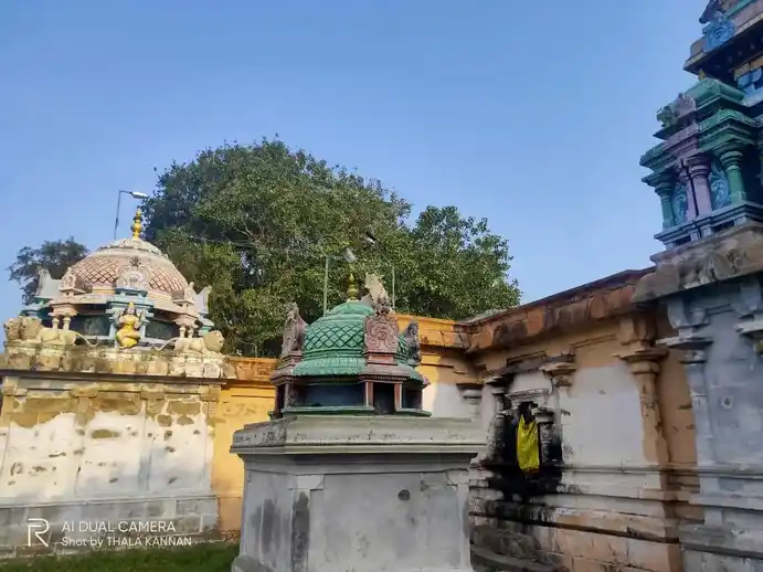 Arulmigu Agastheeswarar Temple, Thiruchinnapuram - 608301 அருள்மிகு அகஸ்தீஸ்வரர் திருக்கோயில், Thiruchinnapuram - 608301, Cuddalore - Ancient Temple Architecture and History Image 4