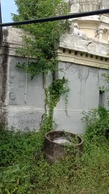 Arulmigu Agatheeshwarar Temple, Pakkamparuthiur - 610107 அருள்மிகு அகஸ்தீஸ்வரர் திருக்கோயில், Pakkamparuthiur - 610107, Thiruvarur - Ancient Temple Architecture and History Image 4