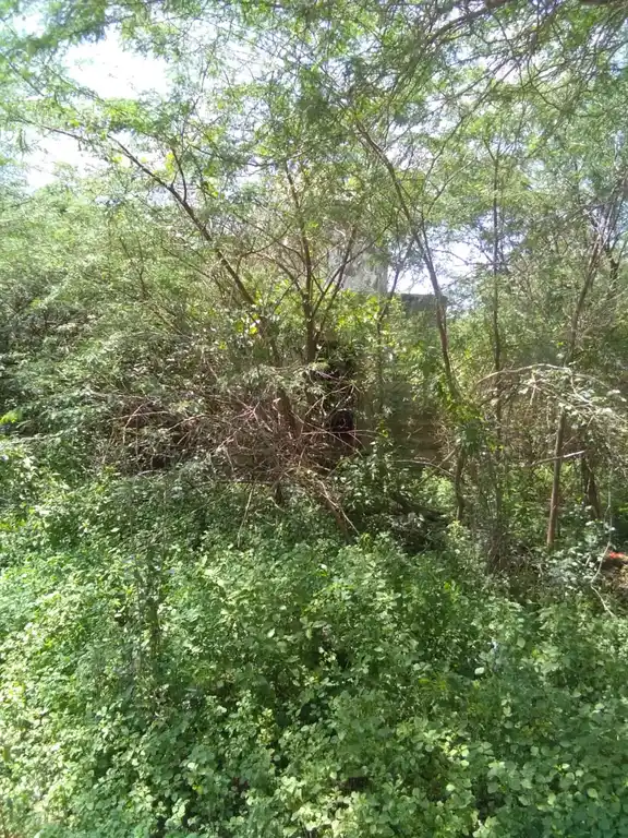 Arulmigu Agatheeshwarar Temple, Vignapuram - 611108 அருள்மிகு அகஸ்தீஸ்வரர் திருக்கோயில், Vignapuram - 611108, Nagapattinam - Ancient Temple Architecture and History Image 3