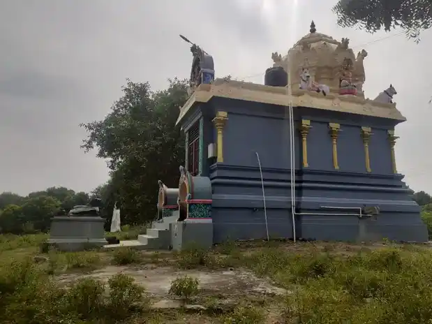 Arulmigu Agatheeswarar Temple, Kappiyampuliyur - 605601 அருள்மிகு அகஸ்தீஸ்வரர் திருக்கோயில், Kappiyampuliyur - 605601, Viluppuram - Ancient Temple Architecture and History Image 4