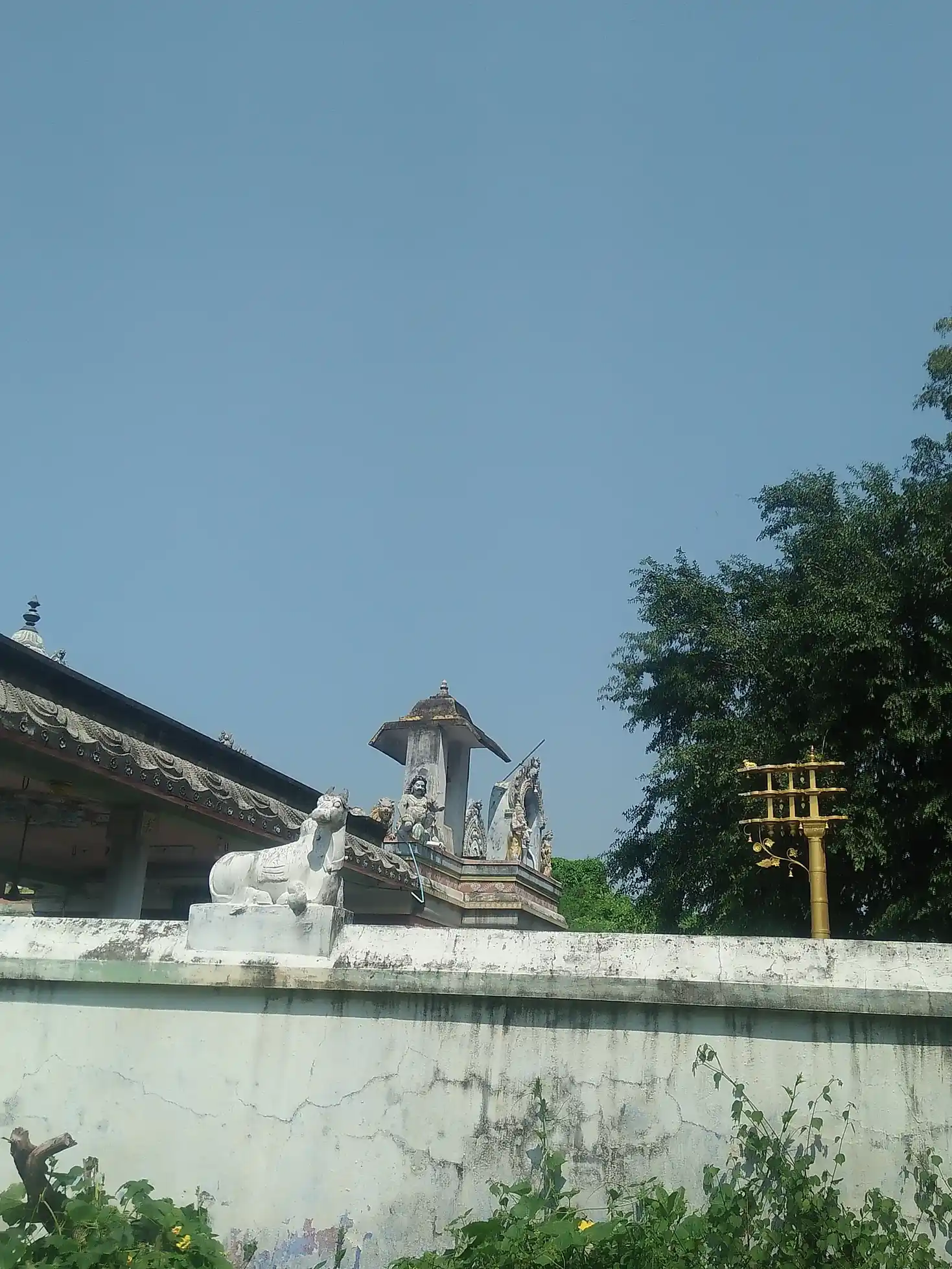 Arulmigu Agatheeswarar Temple, Nedumpuli - 631051 அருள்மிகு அகத்தீஸ்வரர் வகையறா திருக்கோயில், நெடும்புலி - 631051, Ranipet - Ancient Temple Architecture and History Image 2