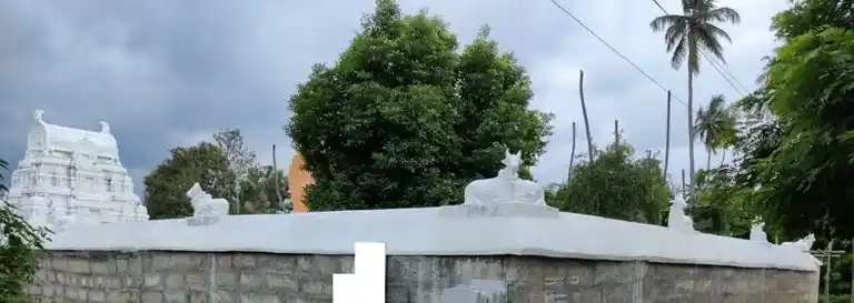 Arulmigu Agatheeswarar Temple, Village Road, Ramanur - 631209 அருள்மிகு அகத்தீஸ்வரர் திருக்கோயில், Village Road, Ramanur - 631209, Tiruvallur - Ancient Temple Architecture and History Image 4