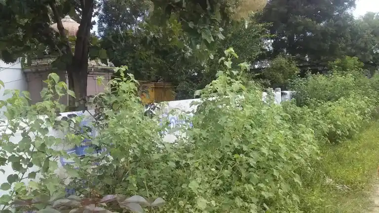 Arulmigu Agatheeswarar Vagaiyara Temple, Mosur - 631004 அருள்மிகு அகத்தீஸ்வரர் வகையறா திருக்கோயில், மோசூர் - 631004, Ranipet - Ancient Temple Architecture and History Image 5