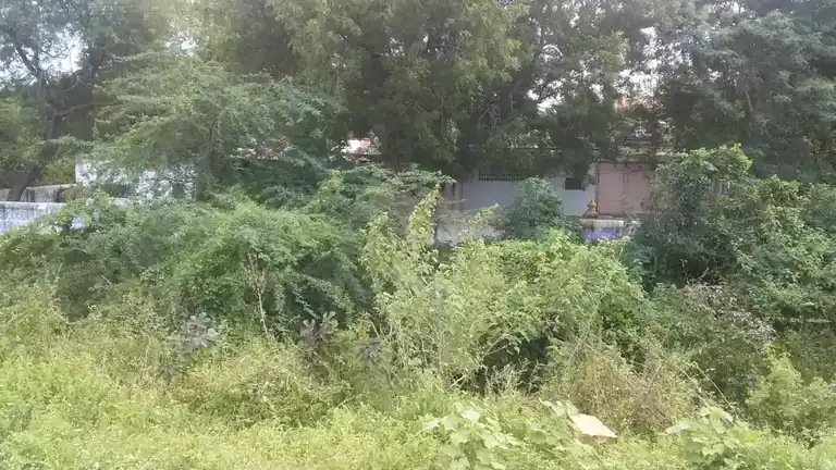 Arulmigu Agatheeswarar Vagaiyara Temple, Mosur - 631004 அருள்மிகு அகத்தீஸ்வரர் வகையறா திருக்கோயில், மோசூர் - 631004, Ranipet - Ancient Temple Architecture and History Image 7