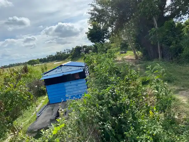 Arulmigu Agatheshwarar Temple, Devadoor - 603306 அருள்மிகு அகத்தீஸ்வரர் திருக்கோயில், Devadoor - 603306, Chengalpattu - Ancient Temple Architecture and History Image 3