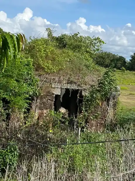 Arulmigu Agatheshwarar Temple, Devadoor - 603306 அருள்மிகு அகத்தீஸ்வரர் திருக்கோயில், Devadoor - 603306, Chengalpattu - Ancient Temple Architecture and History Image 5