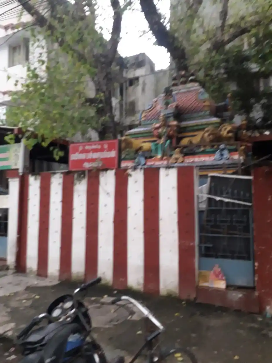 Arulmigu Agilandakodi Prammanda Nayagi Mannaswamy Pachaiamman Temple, Mylapore, Chennai - 600004 அருள்மிகு அகிலாண்டகோடி பிரமாண்ட நாயகி மன்னார்சாமி பச்சையம்மன் திருக்கோயில், மயிலாப்பூர், சென்னை - 600004, Chennai - Ancient Temple Architecture and History Image 3