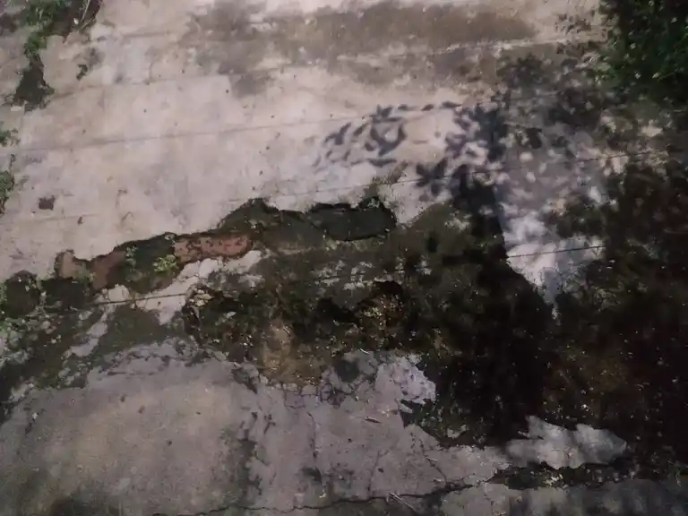 Arulmigu Agneeswara Swamy Temple, Thirukkatupalli - 613104 அருள்மிகு அக்னீஸ்வரசுவாமி திருக்கோயில், Thirukkatupalli - 613104, Thanjavur - Ancient Temple Architecture and History Image 2