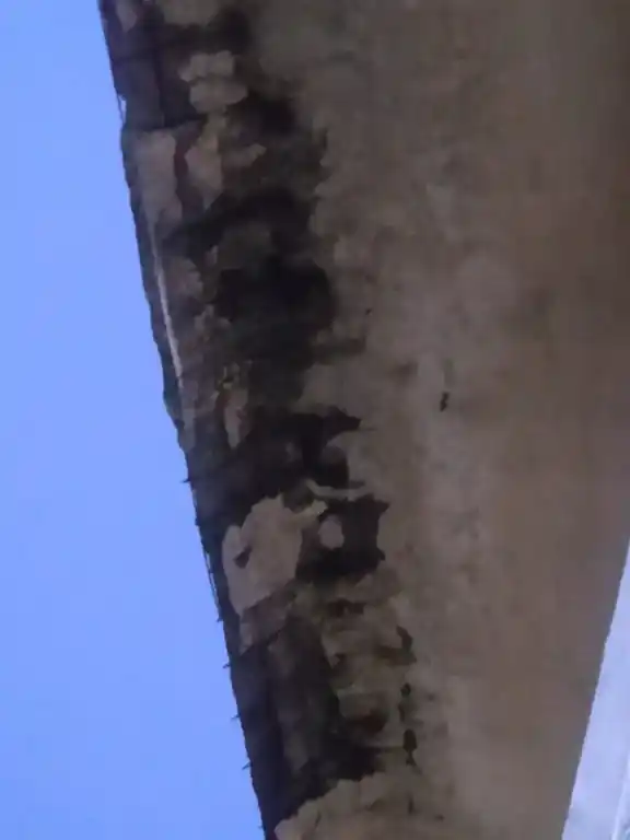 Arulmigu Agneeswara Swamy Temple, Thirukkatupalli - 613104 அருள்மிகு அக்னீஸ்வரசுவாமி திருக்கோயில், Thirukkatupalli - 613104, Thanjavur - Ancient Temple Architecture and History Image 6